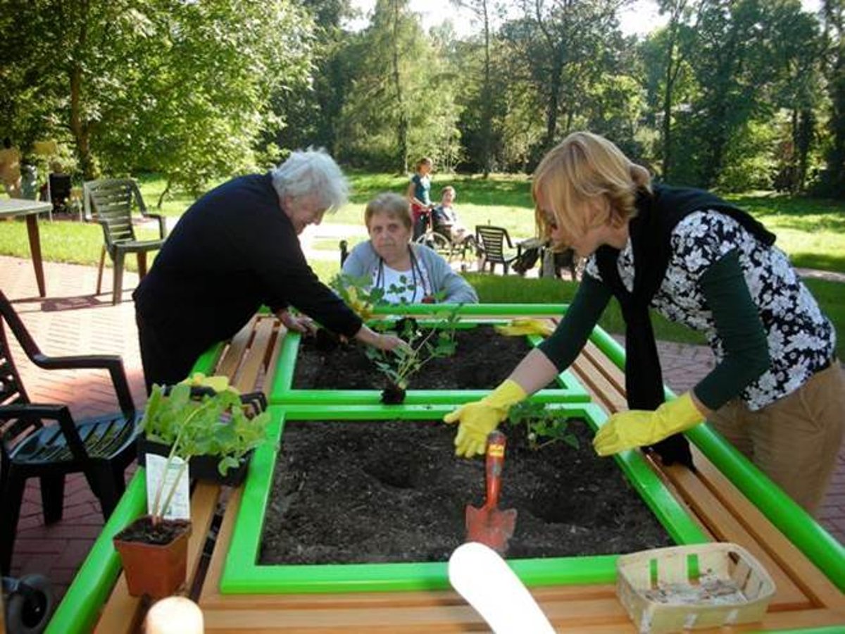 Ehpad Strasbourg Koenigshoffen jardinage