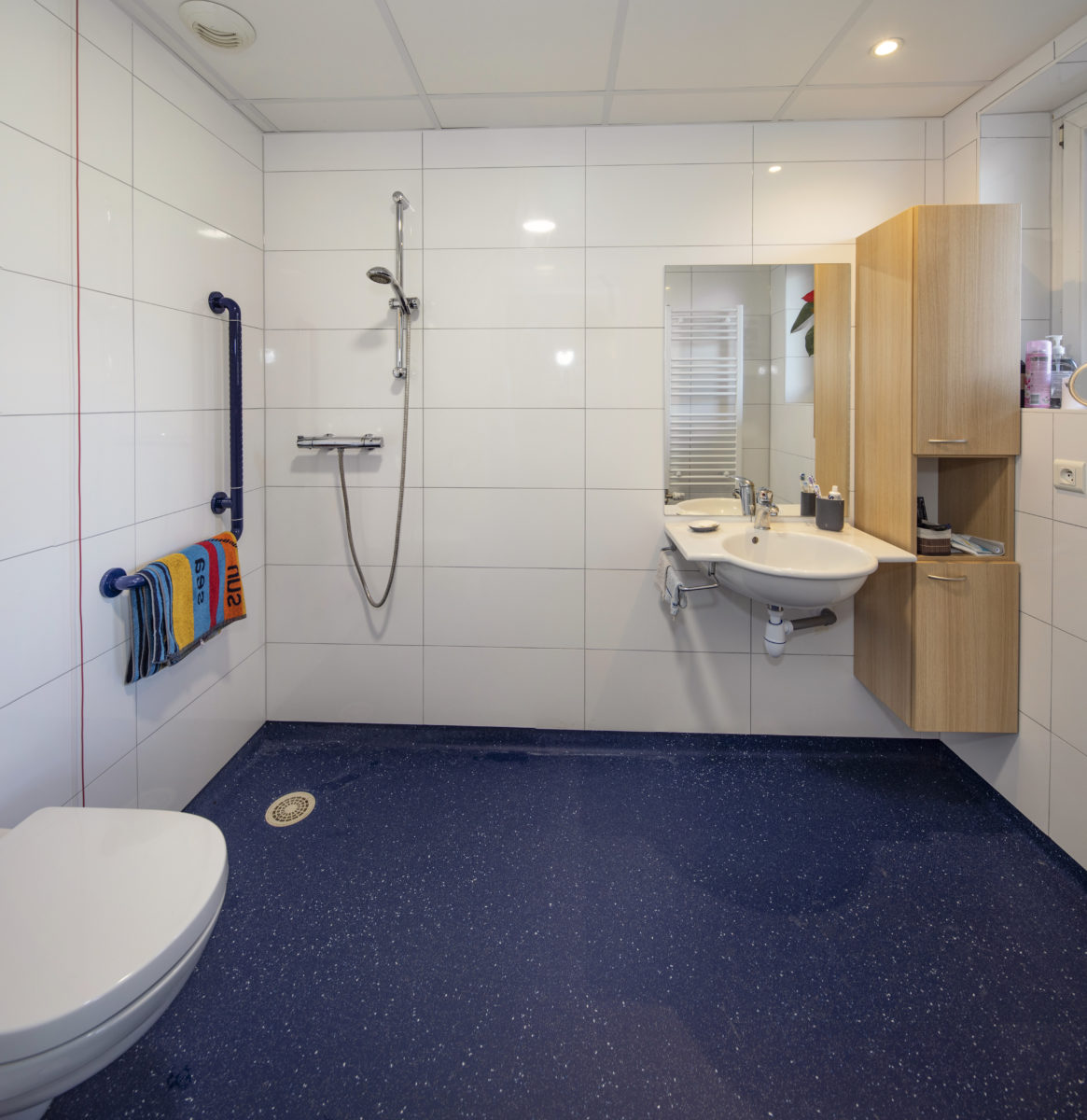 Ehpad Strasbourg Koenigshoffen salle de bain